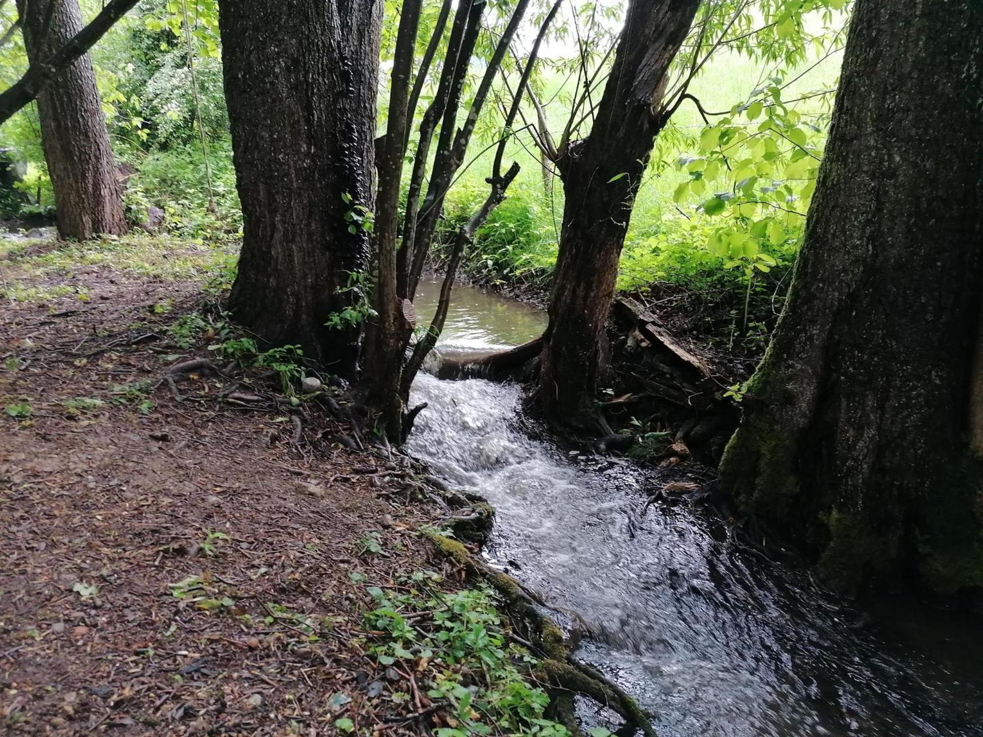 Ferienwohnung "Am Seebach" Wangen im Allgäu Exterior foto